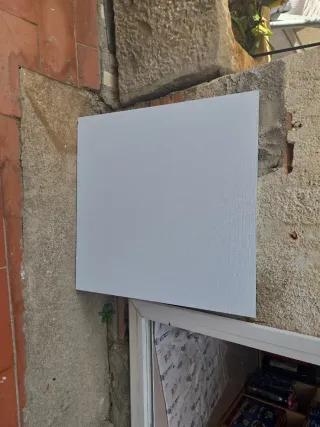 Placas de vinilo para techo 1€/u