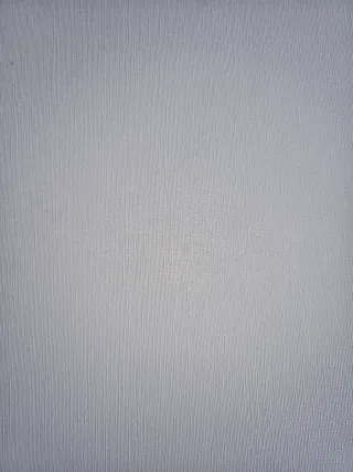 Placas de vinilo para techo 1€/u