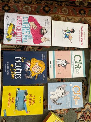 lote de libros / novelas infantiles y juveniles