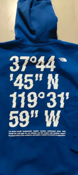 Felpa con cappuccio The North Face ragazzo