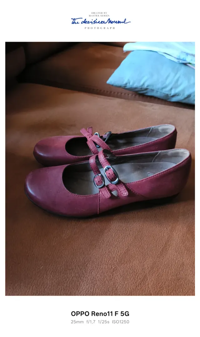 Merceditas cuero Dansko burdeos