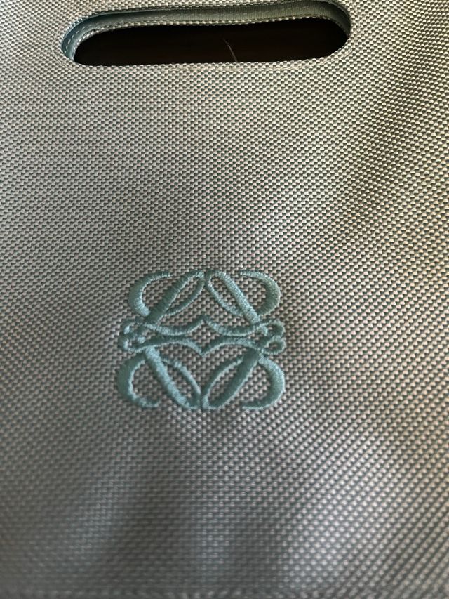 Neceser/bolso de mano Loewe Teal