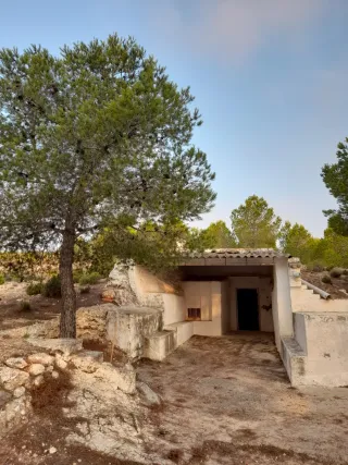 Terreno 4000m² con casa cueva