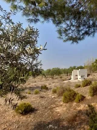 Terreno 4000m² con casa cueva