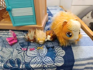 Casa de muñecas para cobaya