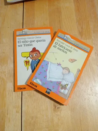 El niño que quería ser Tintín (El Barco De Vapo...