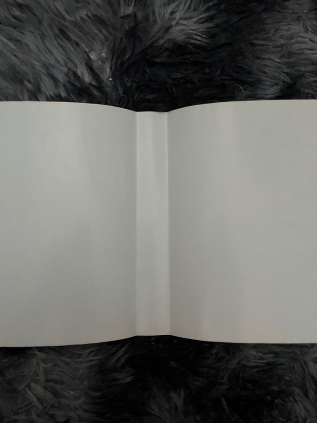 Bubsy Mega Drive Sega