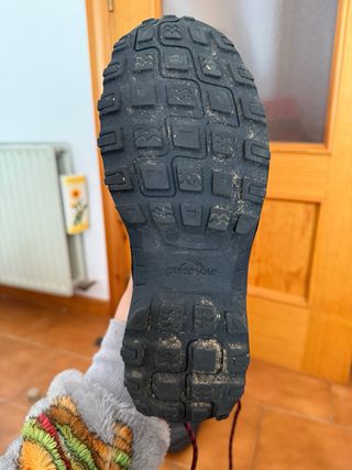 Botas de montaña Quechua