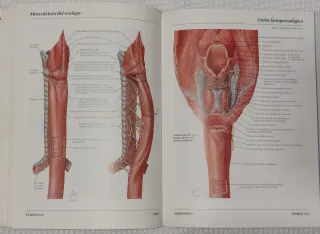 Atlas de Anatomia Humana - 2 Edicion (Spanish E...