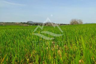 Terreno en venta en Manacor Centro en Manacor