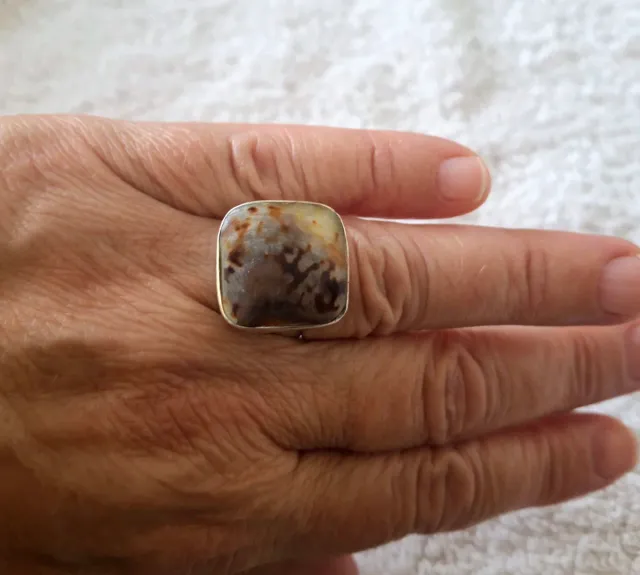 Anillo Plata y Concha Marrón