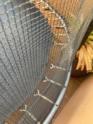 Cama elástica 200cm