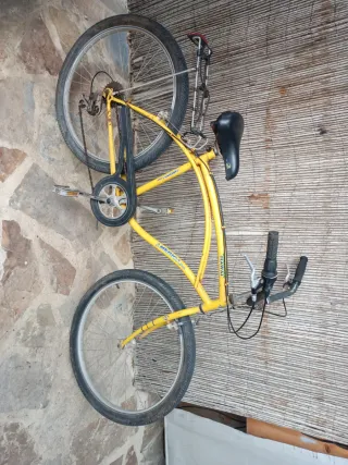 Bicicleta clásica