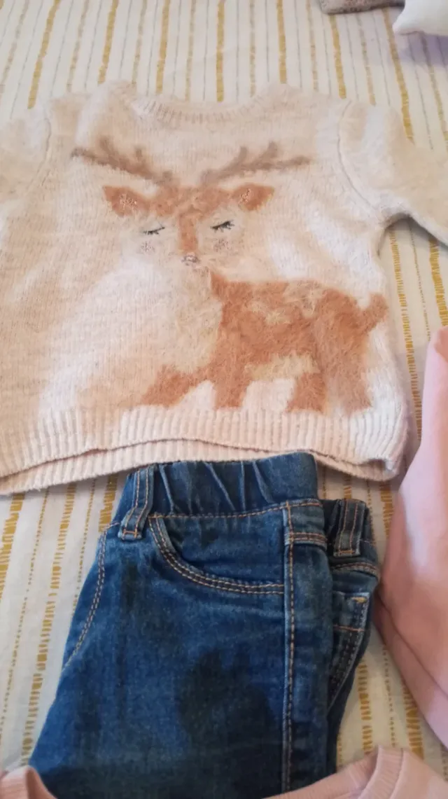 Lote Ropa Niña: Jersey y Pantalón