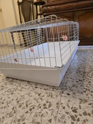 JAULA GRANDE PARA CONEJOS Y COBAYAS