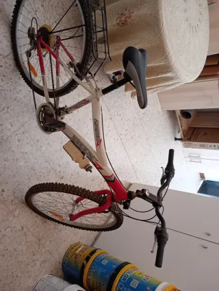Bicicleta de montaña