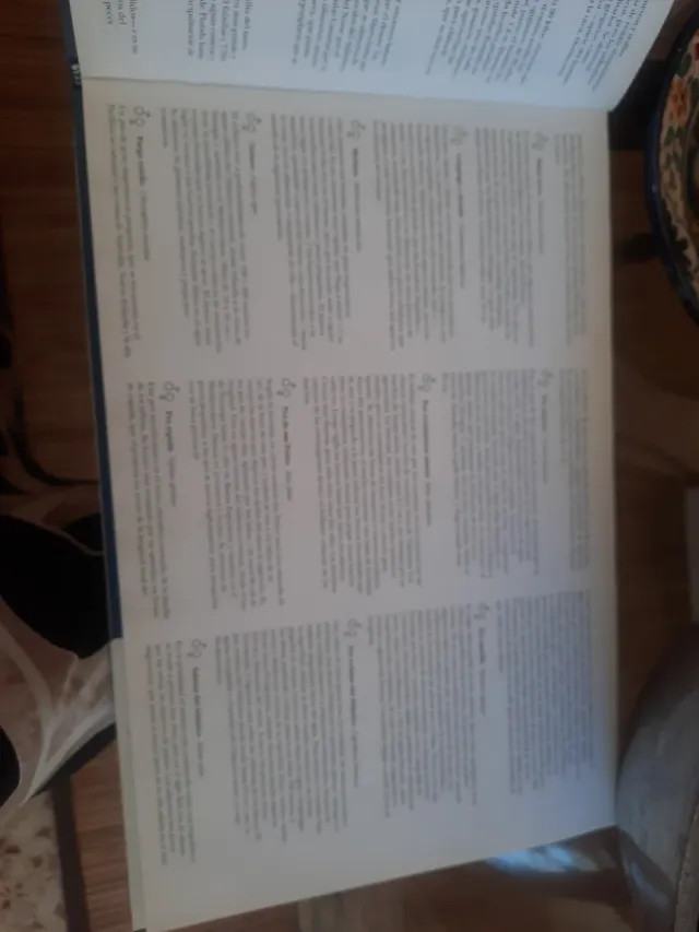 El último arca de Noé