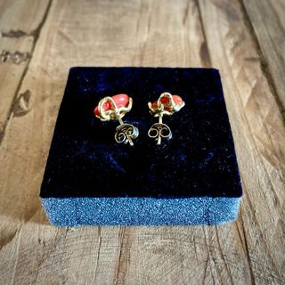 Pendientes Plata y Coral