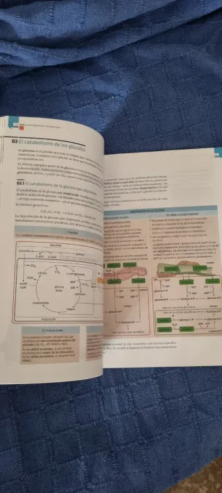 Biología, Bachillerato 2 sin estrenar nuevo