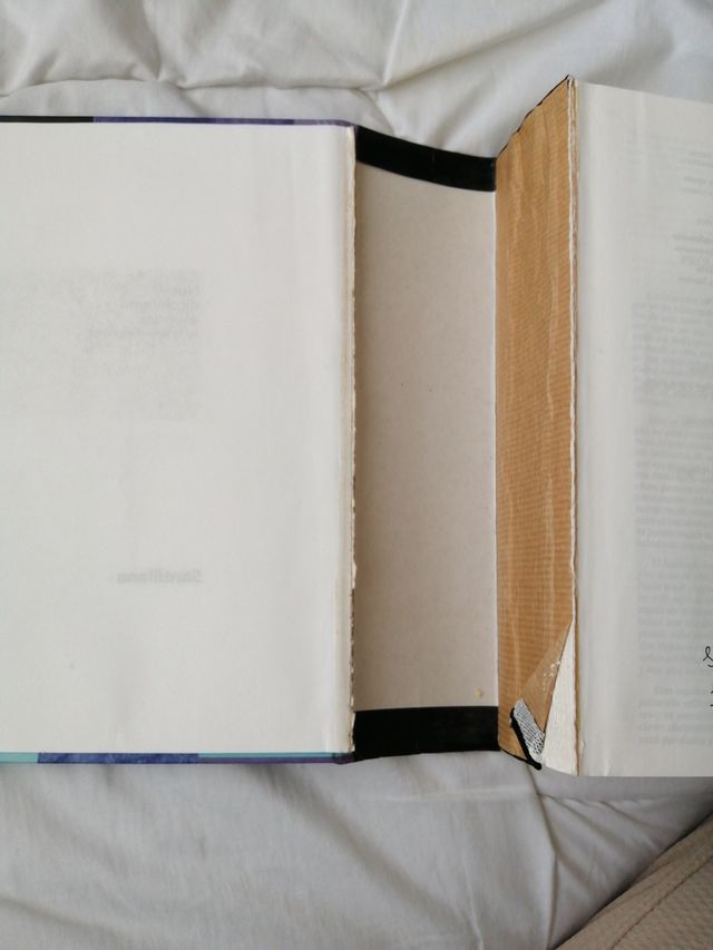 Nuevo Diccionario Esencial de La Lengua Espanol...