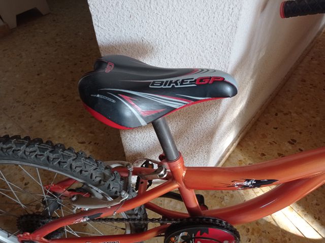 Bicicleta infantil Zhafir