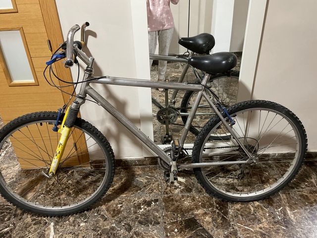 Bicicleta de montaña plateada