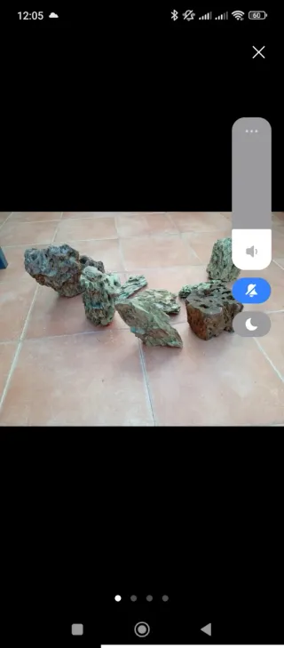 Roca Dragón para Acuario