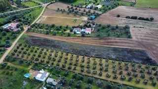 Terreno en venta en Trigueros