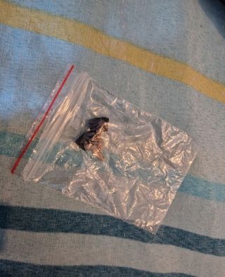 Tronchetto scollato Primadonna Nero Tg 37