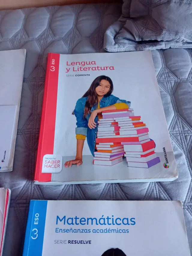 Lote 4 libros de 2°y 3° de la ESO de Santillana