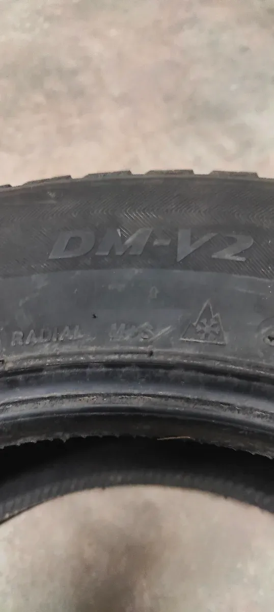 Bridgestone Blizzak DM-V2 225/60/r17
Neumáticos 