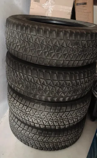 Bridgestone Blizzak DM-V2 225/60/r17
Neumáticos