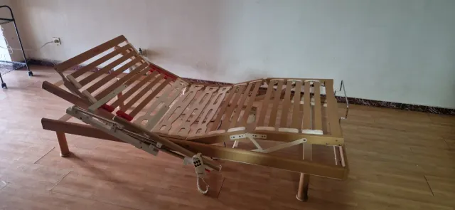Cama articulada eléctrica con colchón