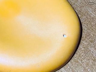 Playmobil escena belén aldeana con vegetación ...