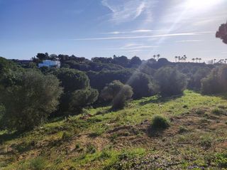 Solar en venta en Sotogrande Alto en San Roque