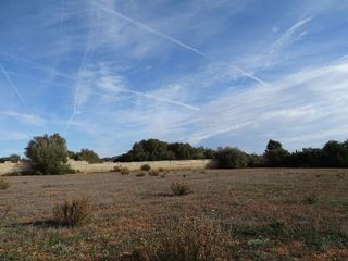 Terreno en venta en Llucmajor Interior en Llucmajor