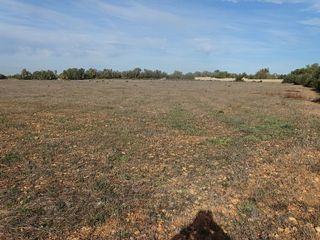 Terreno en venta en Llucmajor Interior en Llucmajor