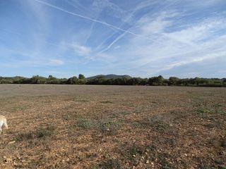 Terreno en venta en Llucmajor Interior en Llucmajor