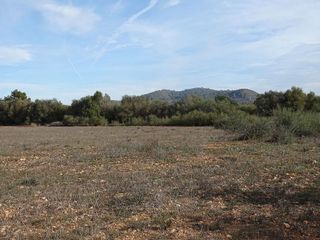 Terreno en venta en Llucmajor Interior en Llucmajor