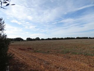 Terreno en venta en Llucmajor Interior en Llucmajor