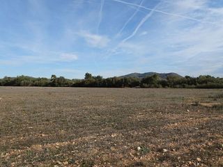 Terreno en venta en Llucmajor Interior en Llucmajor