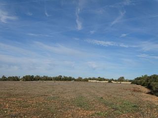 Terreno en venta en Llucmajor Interior en Llucmajor