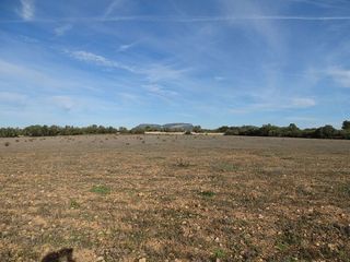 Terreno en venta en Llucmajor Interior en Llucmajor