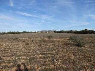 Terreno en venta en Llucmajor Interior en Llucmajor