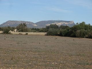 Terreno en venta en Llucmajor Interior en Llucmajor