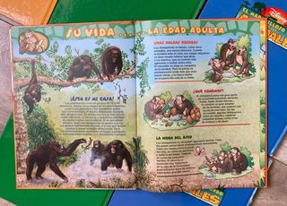 El Maravilloso Mundo De Los Animales