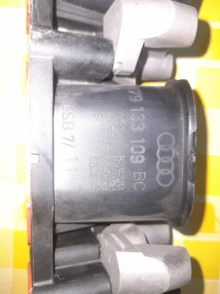 Colector Admisión Audi