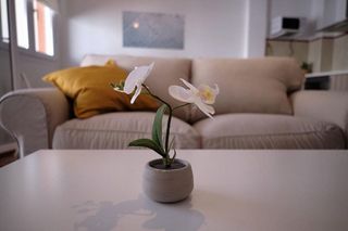 Piso en venta en Carboneras