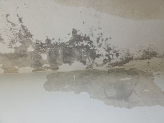 Proyectado yeso, mortero y monocapa