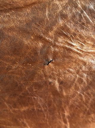 Cazadora de piel marrón